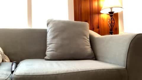 Tyler Sands online show from 02-22-25, 03:14