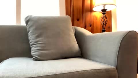 Tyler Sands online show from 02-23-25, 01:42