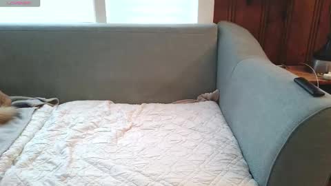 Tyler Sands online show from 12-16-25, 12:54