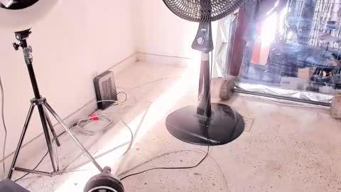 Dvid Rullers online show from 12-14-25, 12:54