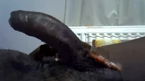 tyroneall online show from 07-23-26, 06:50