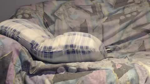 Snapshot of tyson2525 chatting on 12-21-24, 04:41 Helena and Tyson online show from 12-21-24, 04:41