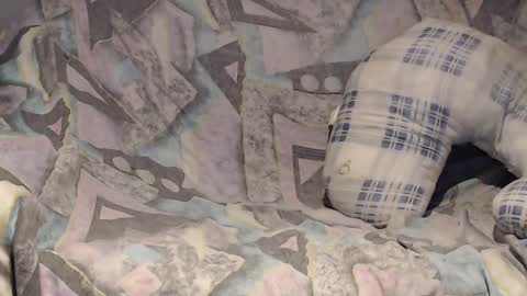 Snapshot of tyson2525 chatting on 02-02-25, 04:05 Helena and Tyson online show from 02-02-25, 04:05