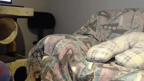 Snapshot of tyson2525 chatting on 02-22-25, 03:56 Helena and Tyson online show from 02-22-25, 03:56