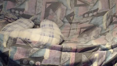 Snapshot of tyson2525 chatting on 02-23-25, 04:17 Helena and Tyson online show from 02-23-25, 04:17