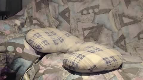 Helena and Tyson online show from 11-09-25, 04:11