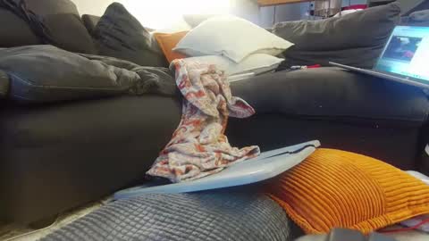 Snapshot of tysonjameson chatting on 12-20-24, 02:27 tysonjameson online show from 12-20-24, 02:27