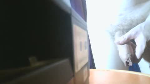 Snapshot of u02g2 chatting on 12-21-24, 08:00 u02g2 online show from 12-21-24, 08:00