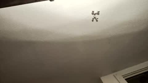 uncut_widda_bigbutt online show from 02-03-25, 04:14