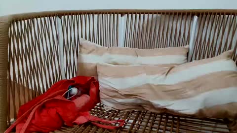 Snapshot of underground33 chatting on 01-16-25, 08:57 Under Huge cock with beautiful uncut foreskin online show from 01-16-25, 08:57