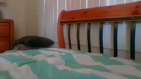 Unique online show from 01-30-25, 09:04