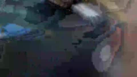 fiona online show from 01-29-25, 10:48