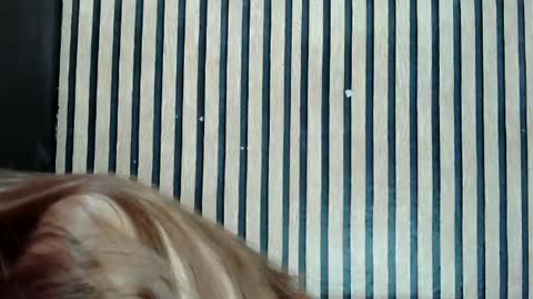 Jane online show from 02-25-25, 12:45