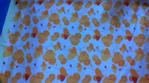 Alexa room  online show from 03-03-25, 01:31