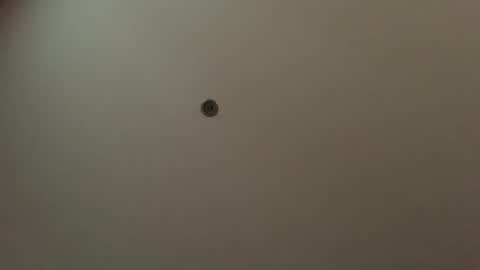 usefulhole online show from 09-23-25, 11:13