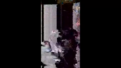 user18675309 online show from 03-08-26, 11:30