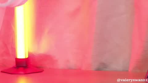 Snapshot of valery_swan1 chatting on 09-24-25, 03:43 Valery swan1 online show from 09-24-25, 03:43