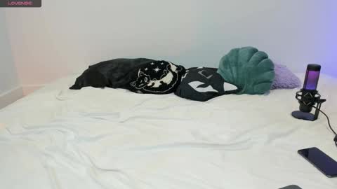 Snapshot of vamppire_girl chatting on 11-21-25, 07:56 Vamppire Girl online show from 11-21-25, 07:56