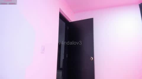 Snapshot of vandalovee chatting on 12-04-25, 03:05 Babi Alu online show from 12-04-25, 03:05