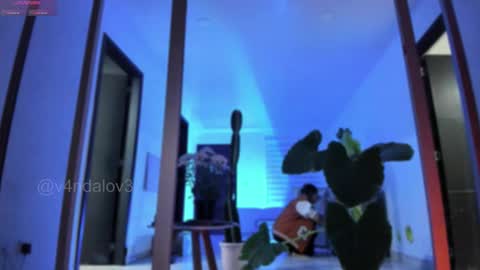 Snapshot of vandalovee chatting on 02-03-26, 10:42 Babi Alu online show from 02-03-26, 10:42