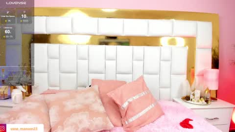 vane_manson online show from 12-27-24, 04:21