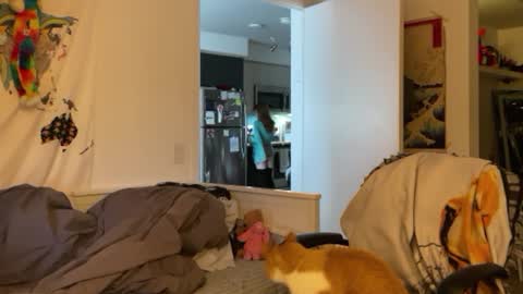 Vanessa  online show from 01-04-25, 03:07