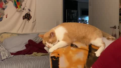 Vanessa  online show from 12-15-25, 02:05