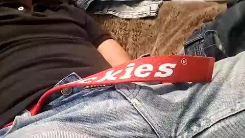 Snapshot of vanyllaice chatting on 01-18-26, 02:48 Vanyllaice online show from 01-18-26, 02:48