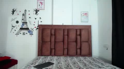 Snapshot of vbleerper chatting on 10-19-25, 12:17 Bleer online show from 10-19-25, 12:17