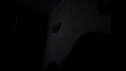 ven1977 online show from 10-26-25, 10:47