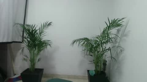 vennus6969 online show from 03-05-25, 01:10