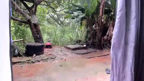 venus ... zeus sheer  online show from 01-13-26, 12:43