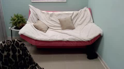 Snapshot of veronicagilbert chatting on 03-12-25, 11:42 Helen online show from 03-12-25, 11:42