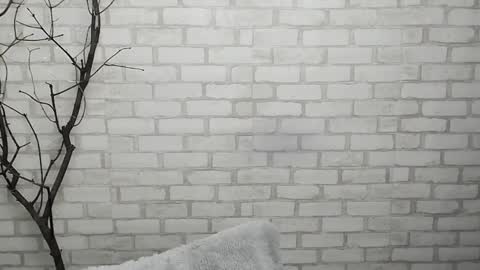 Ana online show from 01-28-25, 12:43