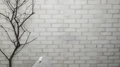 Ana online show from 02-03-25, 02:34