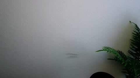 Ana online show from 02-05-26, 09:14