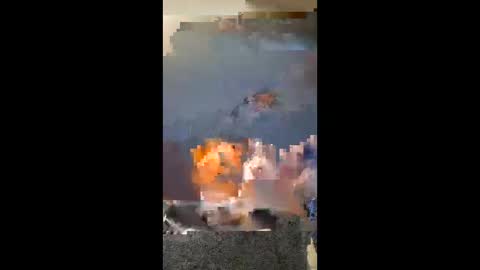 vhornynige69 online show from 01-09-26, 03:09