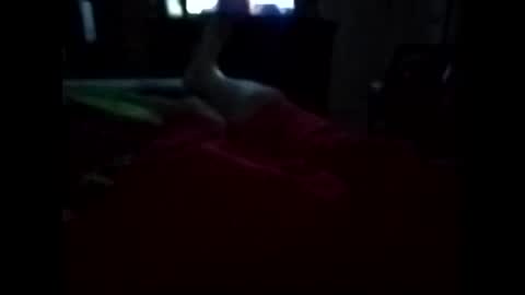 viciouzz1 online show from 11-11-25, 11:27