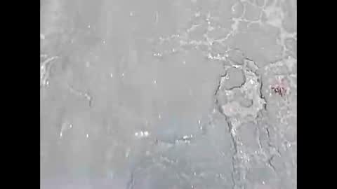 viciouzz1 online show from 11-24-25, 07:02