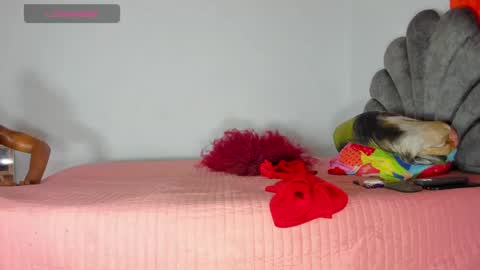Snapshot of vicky_hotteei chatting on 05-01-26, 08:30 vicky manuela online show from 05-01-26, 08:30