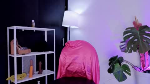 Snapshot of vickygrey1 chatting on 11-27-25, 08:44 Vicky Greys online show from 11-27-25, 08:44