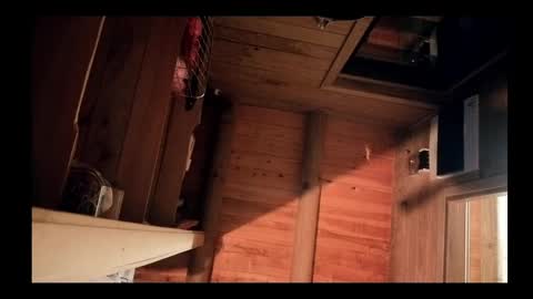 vickyvalencia2 online show from 05-12-26, 03:03