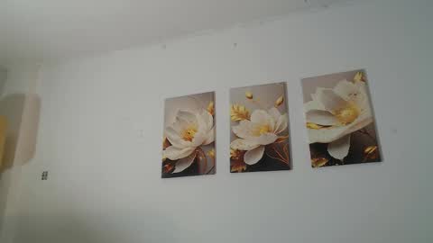 VIOLET  online show from 02-11-26, 11:48