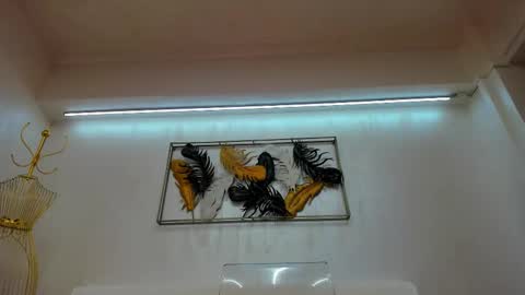 vikafever online show from 11-10-25, 04:11