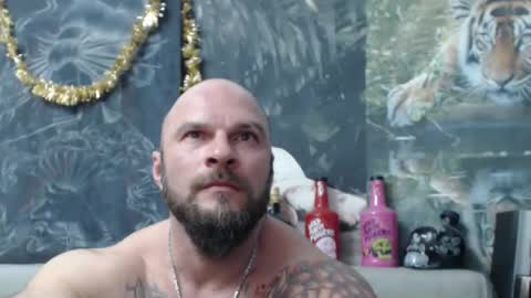 viking online show from 02-27-26, 07:14