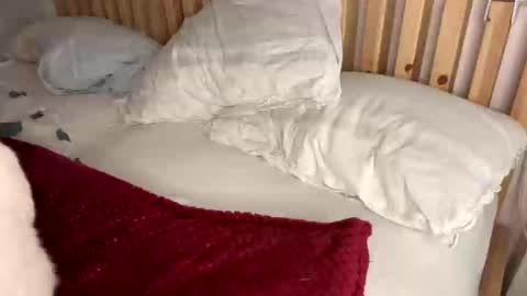 Snapshot of vince_hotgr chatting on 02-01-25, 10:23 Vince online show from 02-01-25, 10:23