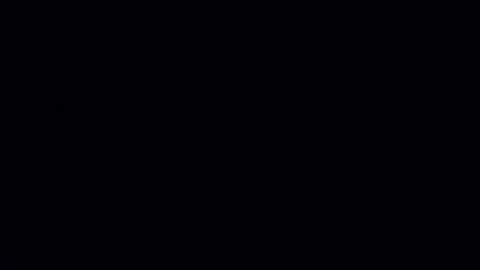 Daniela online show from 12-14-24, 12:44