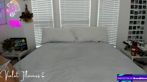 Violet Flowers online show from 04-08-26, 05:24