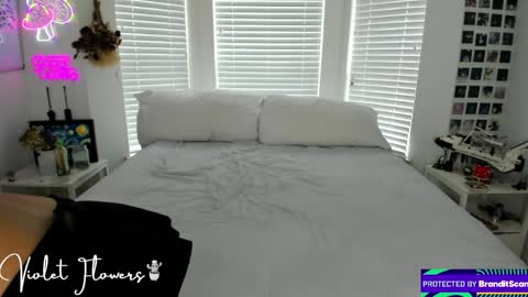 Snapshot of violetttflowers chatting on 05-04-26, 03:52 Violet Flowers online show from 05-04-26, 03:52