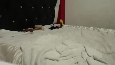 melissa online show from 10-24-25, 05:04